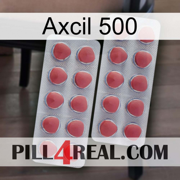 Axcil 500 19.jpg